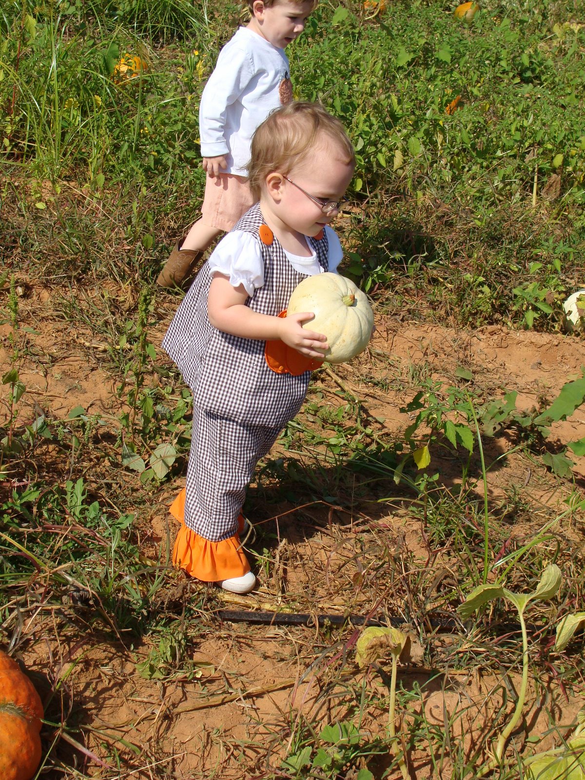 Old Baker Farm Pumpkin Patch Alabama
