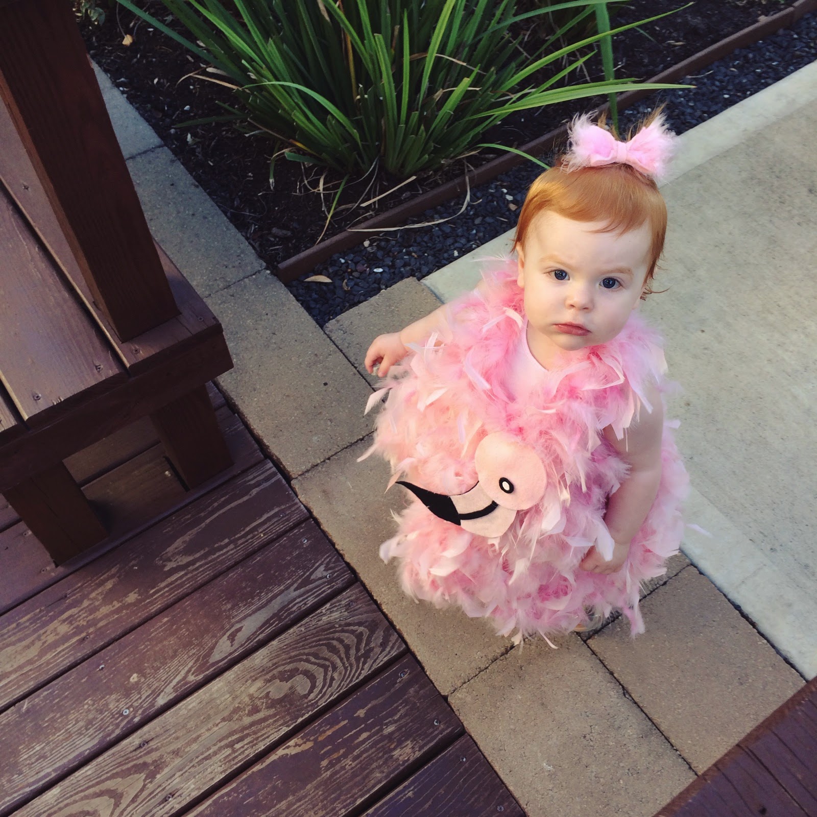 Veronika's Blushing DIY Flamingo Halloween Costume for Toddlers!