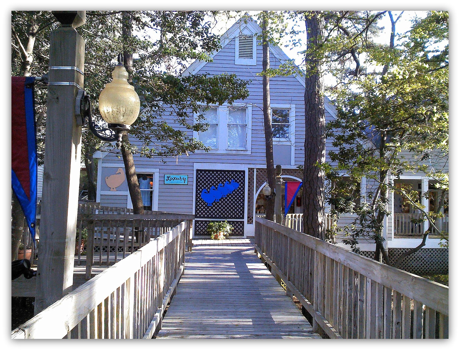 A few of my favorite things in and around Duck, North Carolina