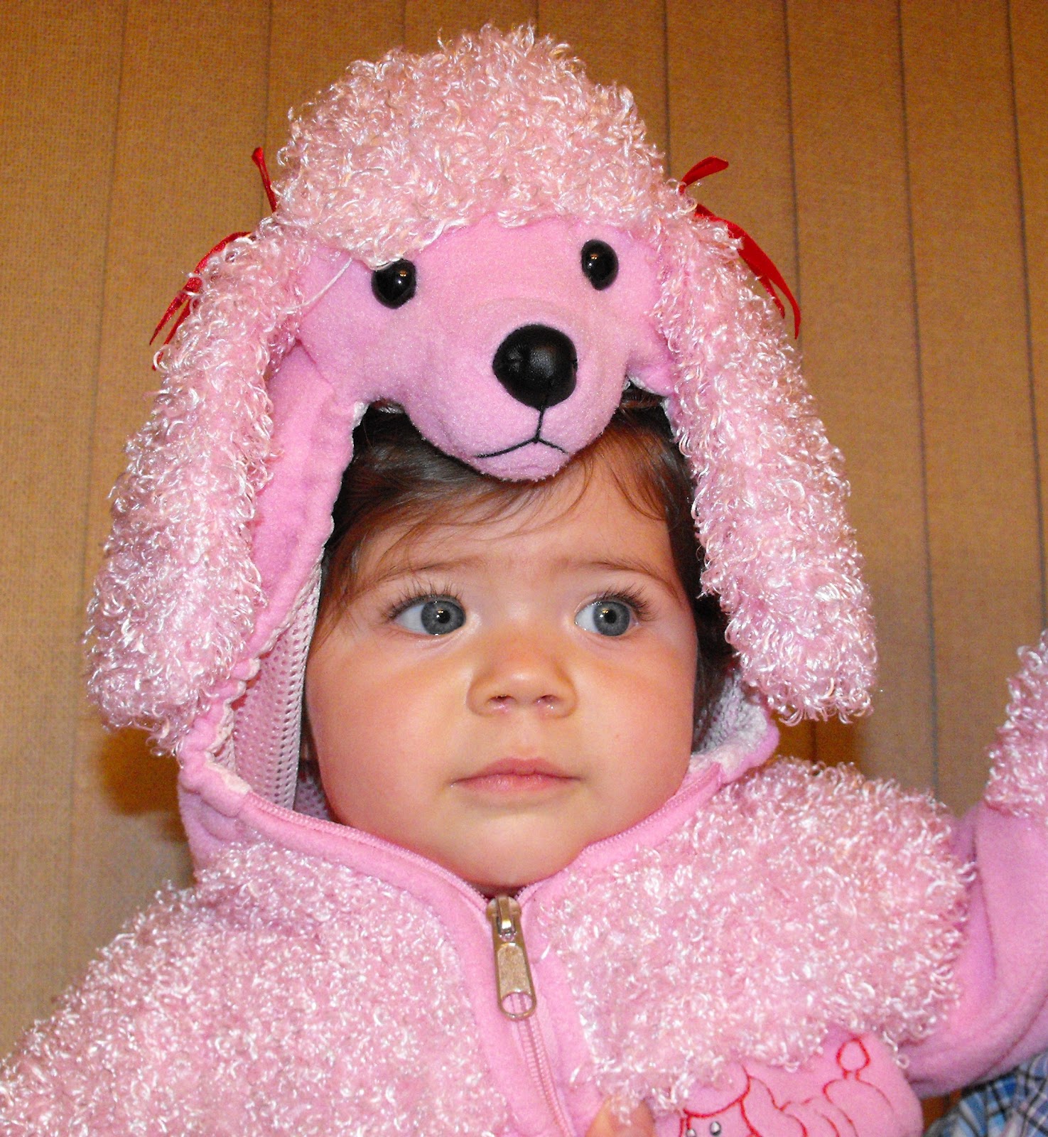 TagSaleMama Pink Puppy Toddler Costume 20 All onepiece! Perfect