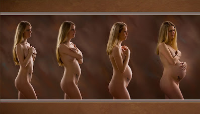 Erotic Pregnancy Progression