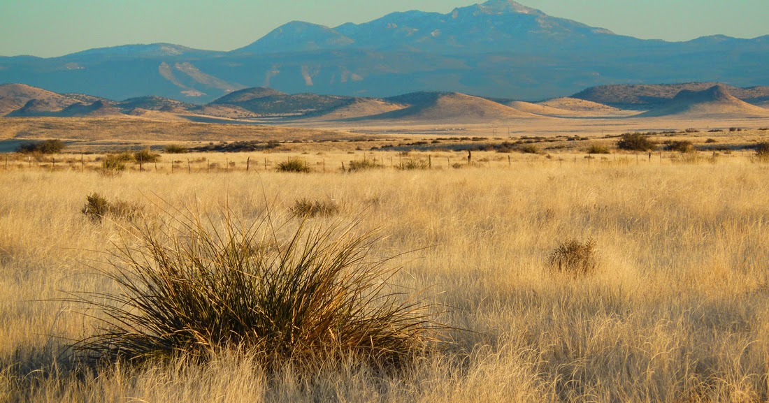 BM Beautiful Grassland, Off Trail Hike