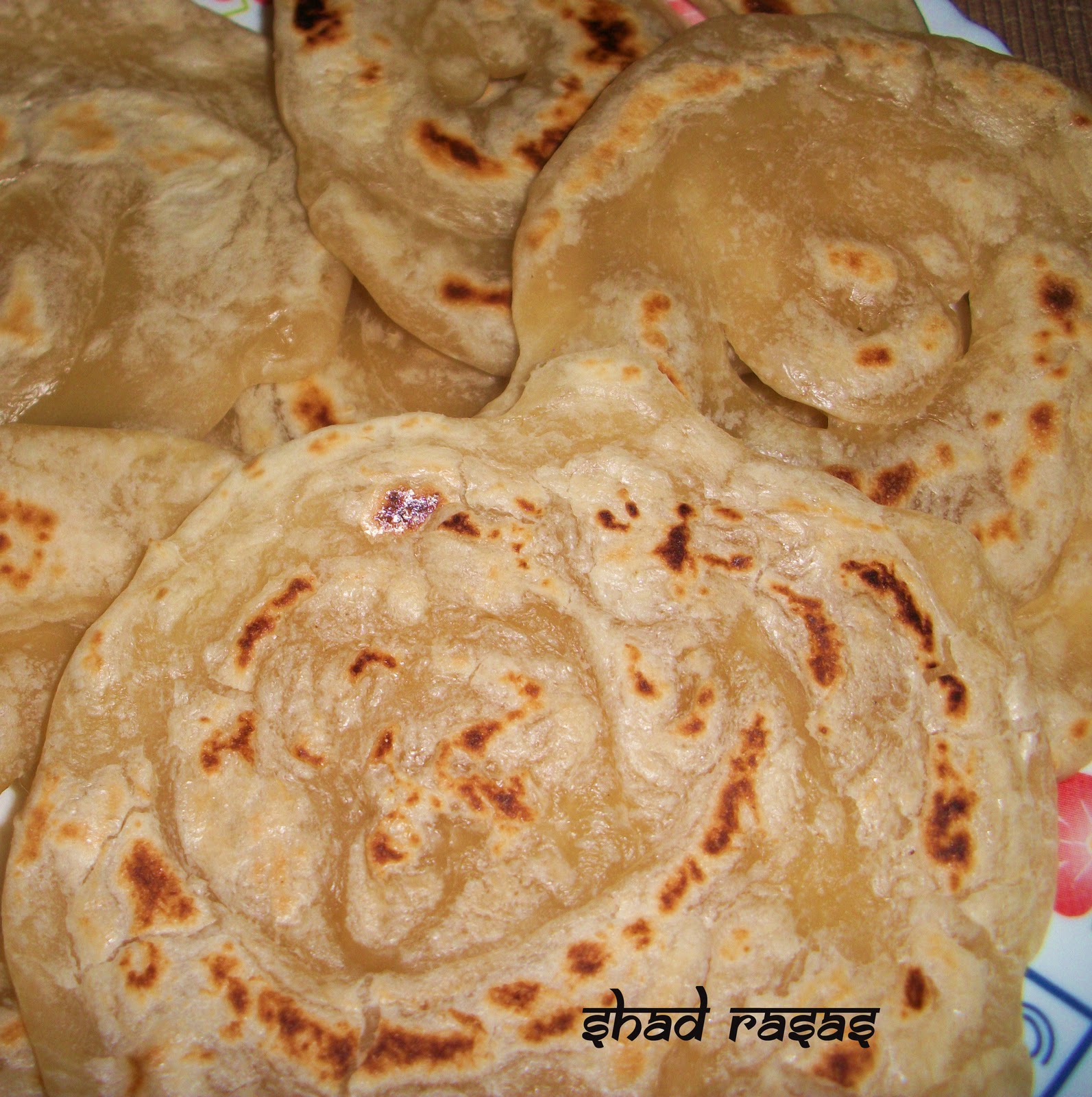 WHEAT PAROTTA Shad Rasas