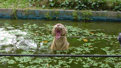 P1040400 Jalan-Jalan Terus: Zoo Negara Malaysia
