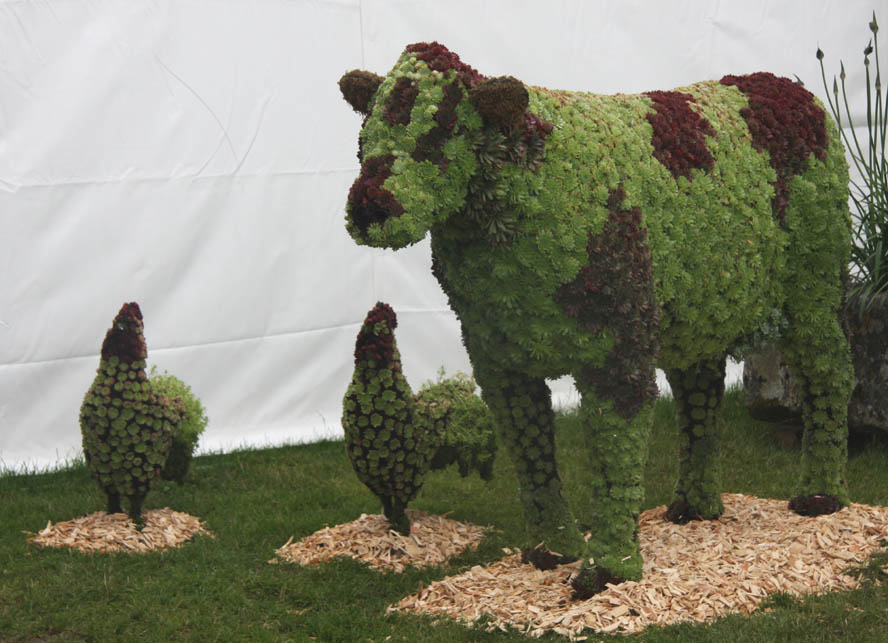 artycraftythings Animals made from plants