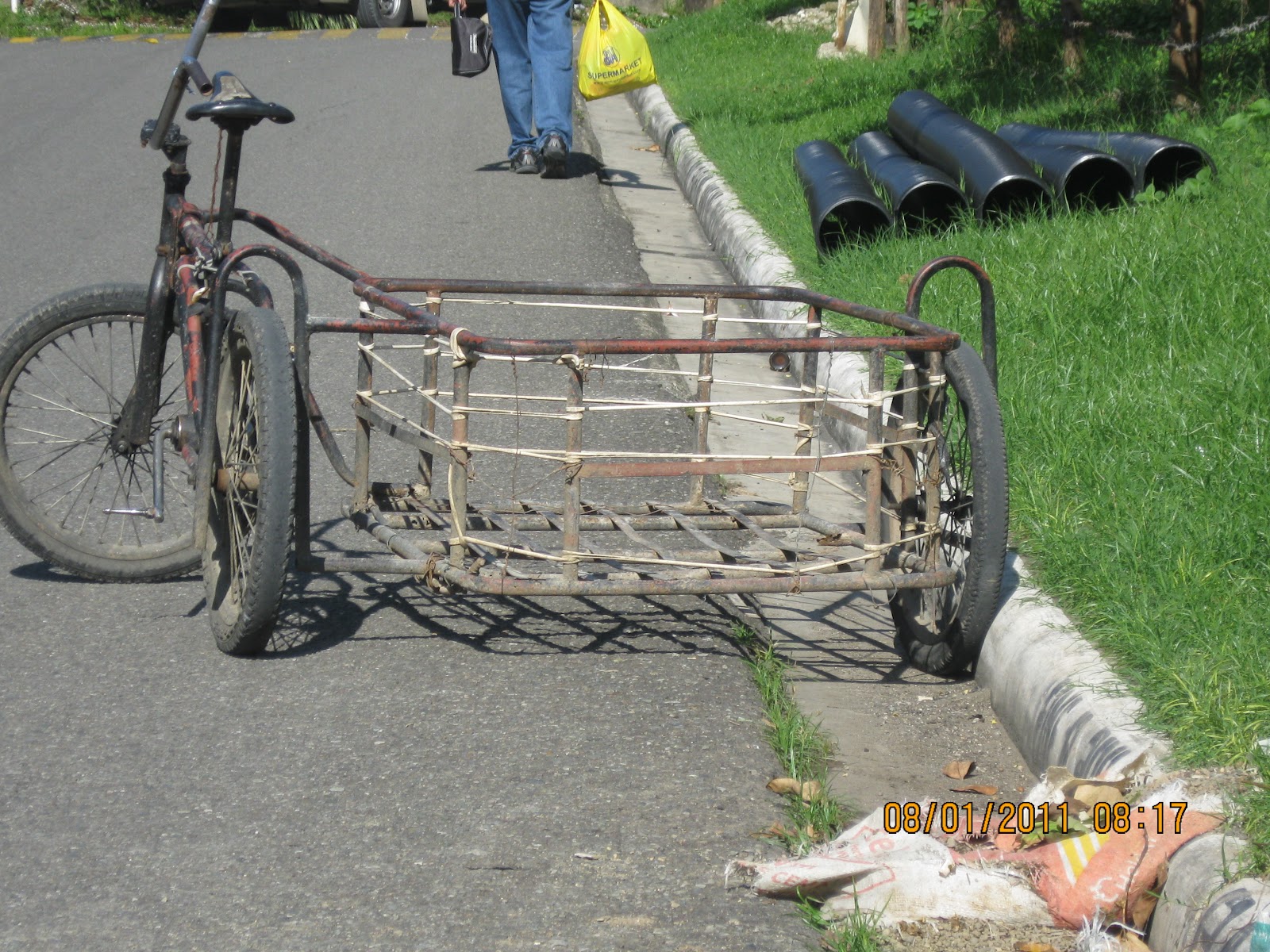 Black Swamp Cornucopia Cool photographs from Cebu City, Philippines