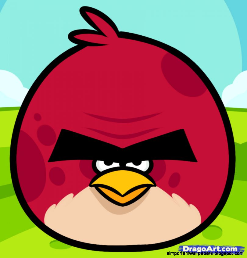 How to Draw Big Brother Bird Angry Birds Step by Step Video How to Draw Big Brother Bird Angry Birds Step by Step Video