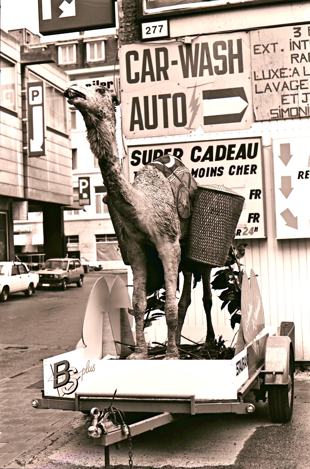 Pocketful of Ginch Car Wash Camel