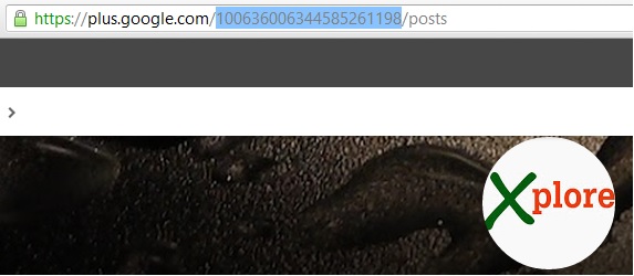 Copy Your Id Only Creating A Custom Or Vanity URL For Google Plus