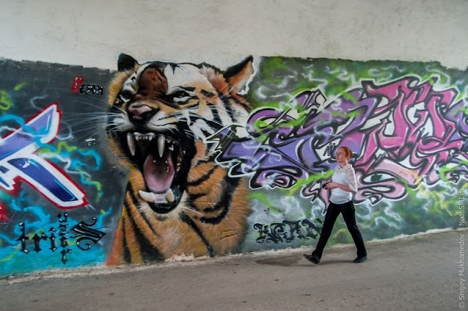 Street Art - Arte Urbano