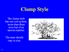 Clump Style