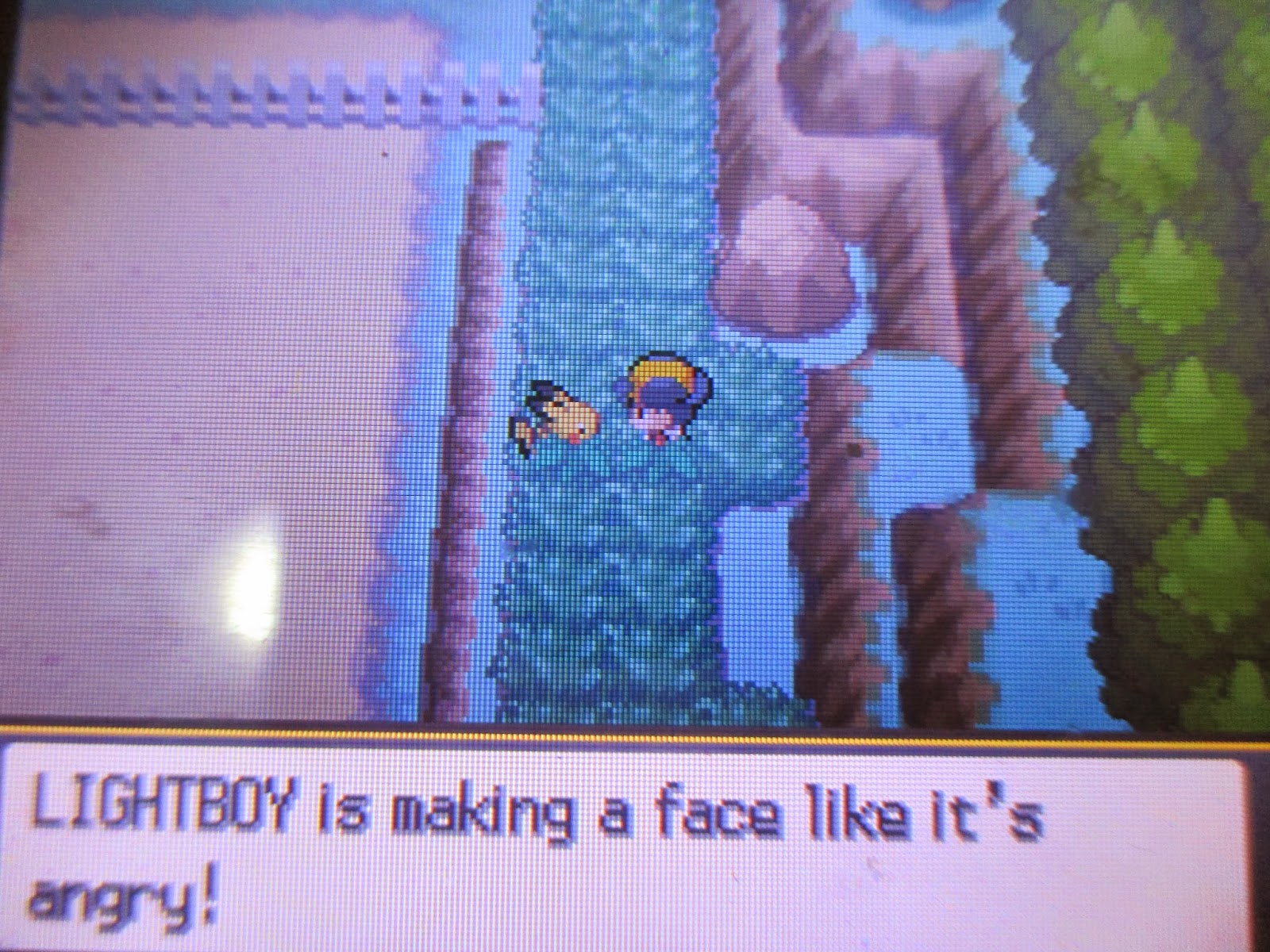 How to get Shiny Leaf in Pokemon Heartgold/Soul Silver Work hard play hard