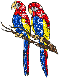 Papużki