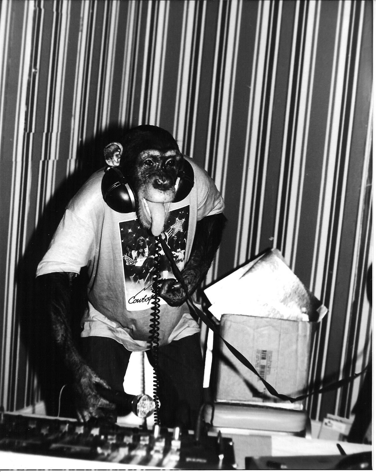 NEW WAVE HOOKER Meet me on the dance floor Inc.™