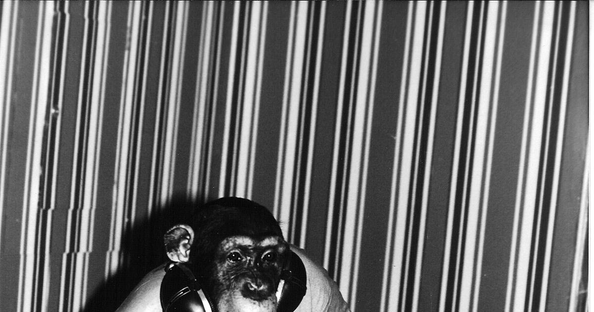 NEW WAVE HOOKER Meet me on the dance floor Inc.™