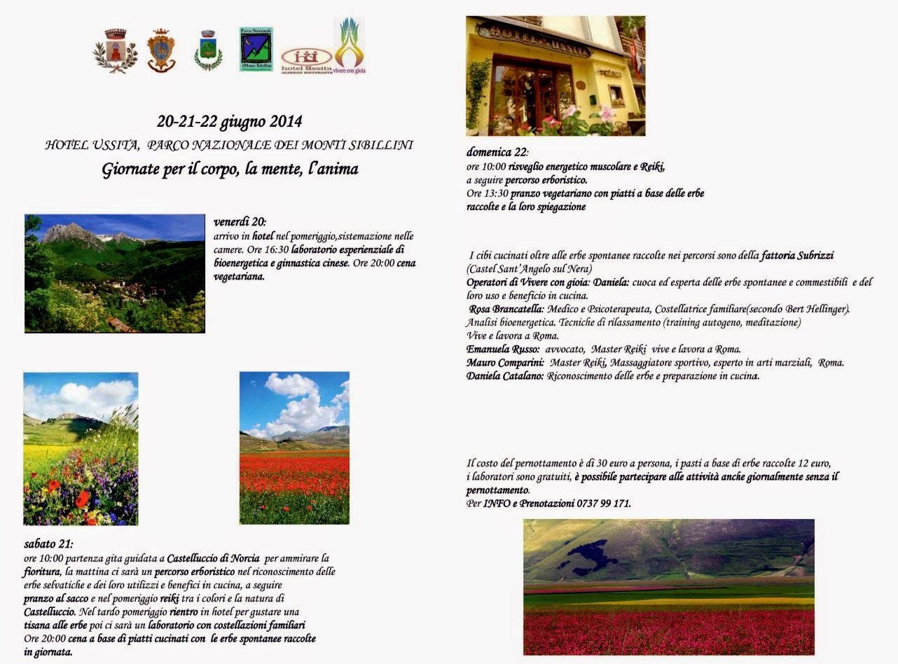 Microsoft Office 2010 for seniors