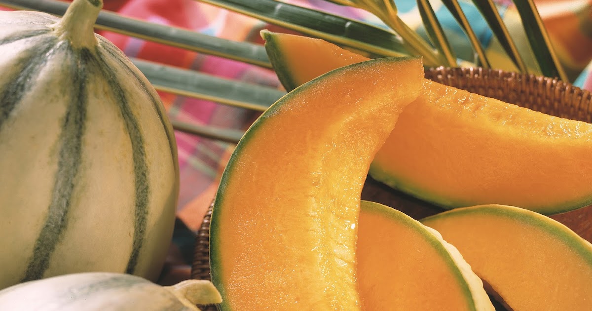 Gossip'Food in Paris Un melon en hiver