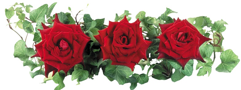 Joyeux Anniversaire Maman Texte Joyeux Anniversaire Maman Texte