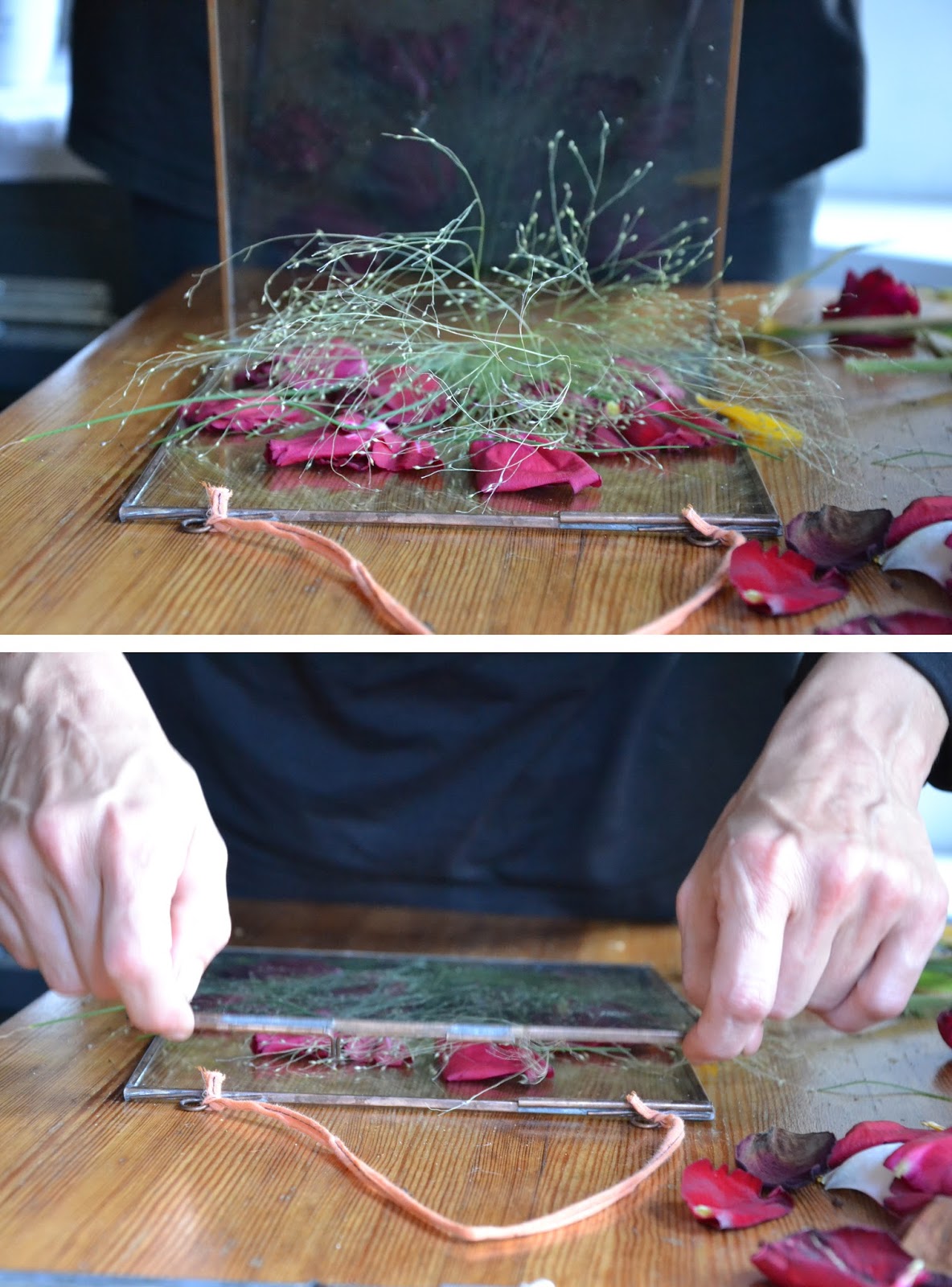 Pressing flowers Kathy Berk