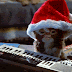 Feliz Navidad