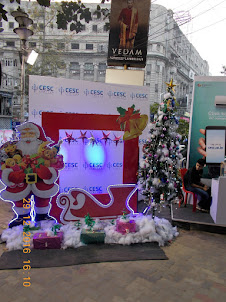 Christmas decor on Park Street.