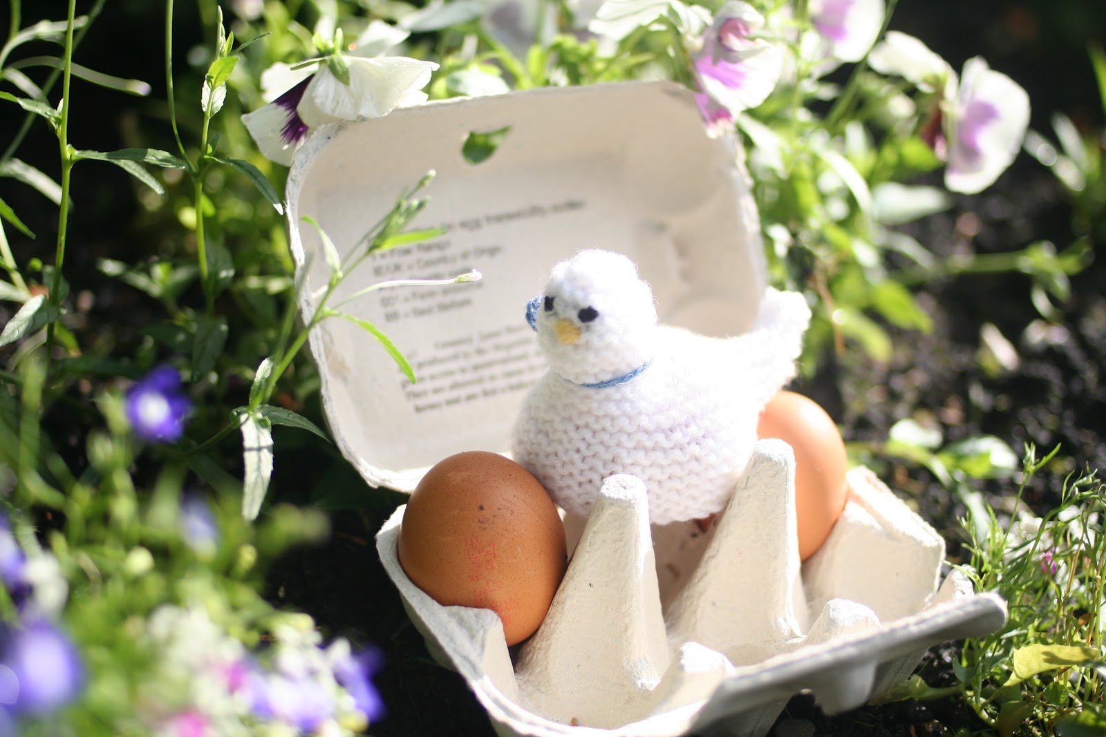 Crafty Students: Brid Knitted an Egg Cosy.