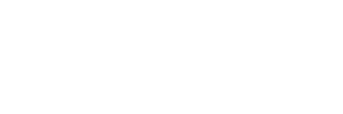 erich lesovsky