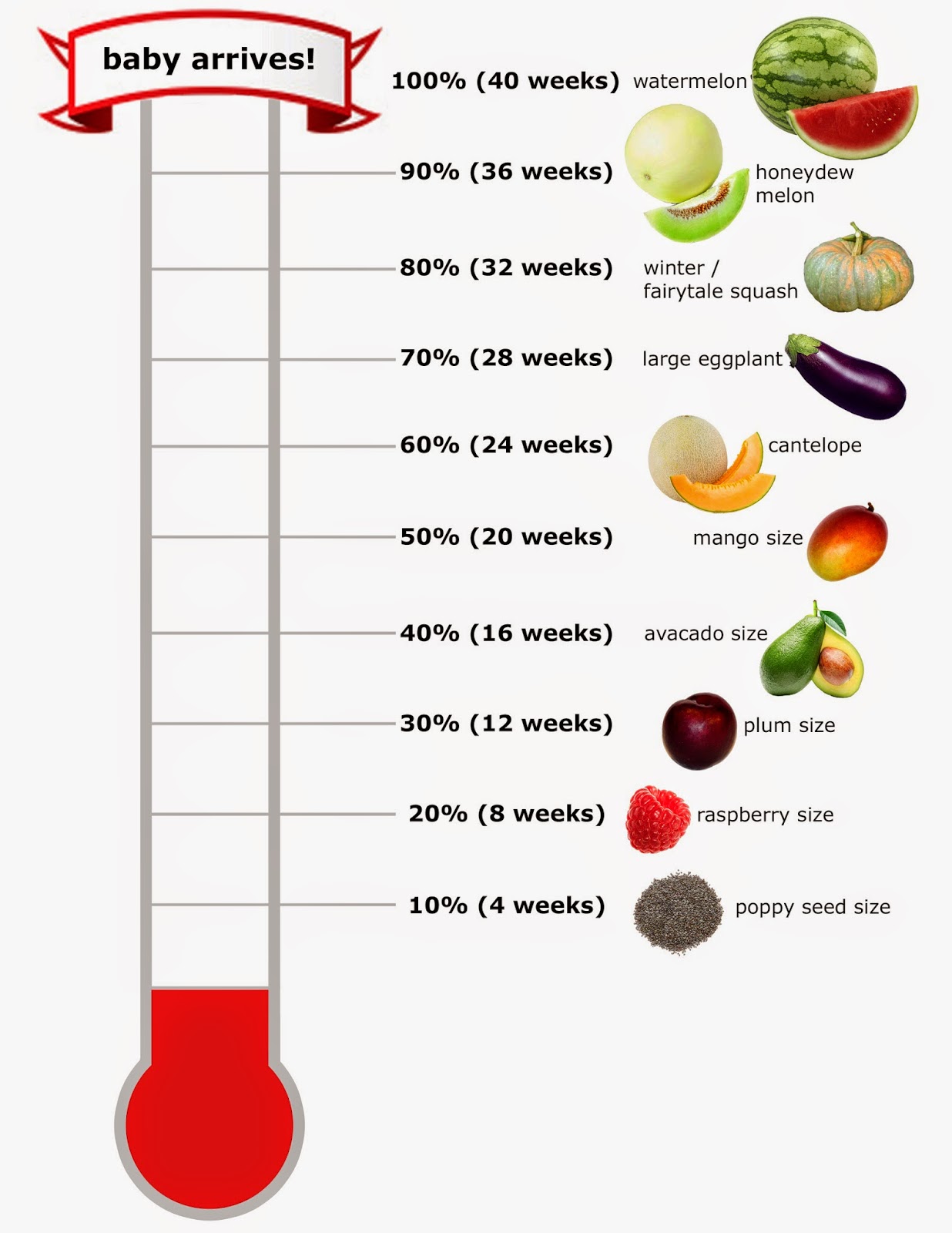 Fibroid Size Chart Fruit