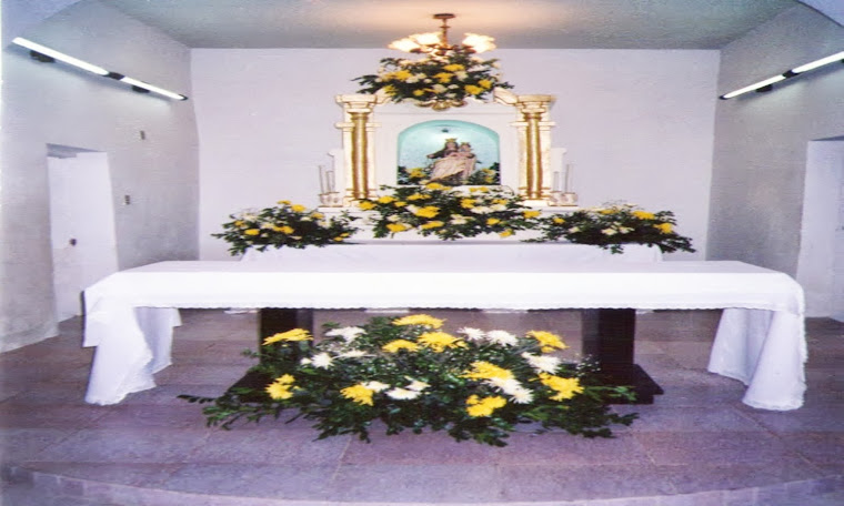 ALTAR CAPELA DE NOSSA SENHORA DO CARMO