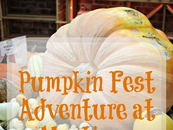 Review: Pumpkin Fest Adventure at Mortimer Farms