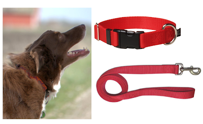 Flat Dog Collar For Strong Puller Flat Dog Collar For Strong Puller