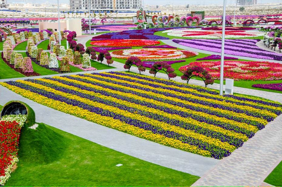 Dubai Miracle Garden World Biggest Flower Garden