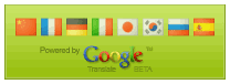 Google Flag Translate Widget For Blogger Blogspot 10