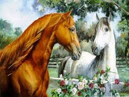 imagenes de amor - images of love 2014 - 2015 - 2016 imagenes de amor - images of love 2014 - 2015 - 2016
