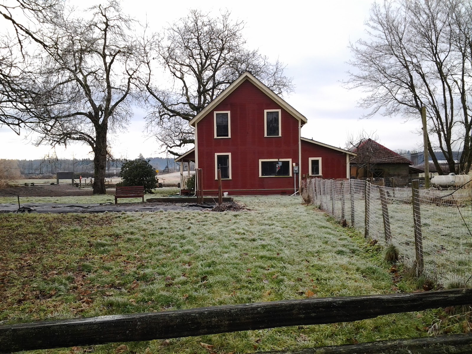 UkrainiYum! GLEN VALLEY, B.C. and HELLO FOCCACIA