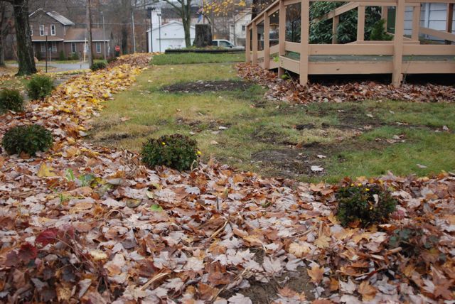Wife, Mother, Gardener: Plan A New Garden Using Fallen Leaves