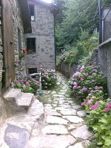 A Trogoni son fiorite le ortensie