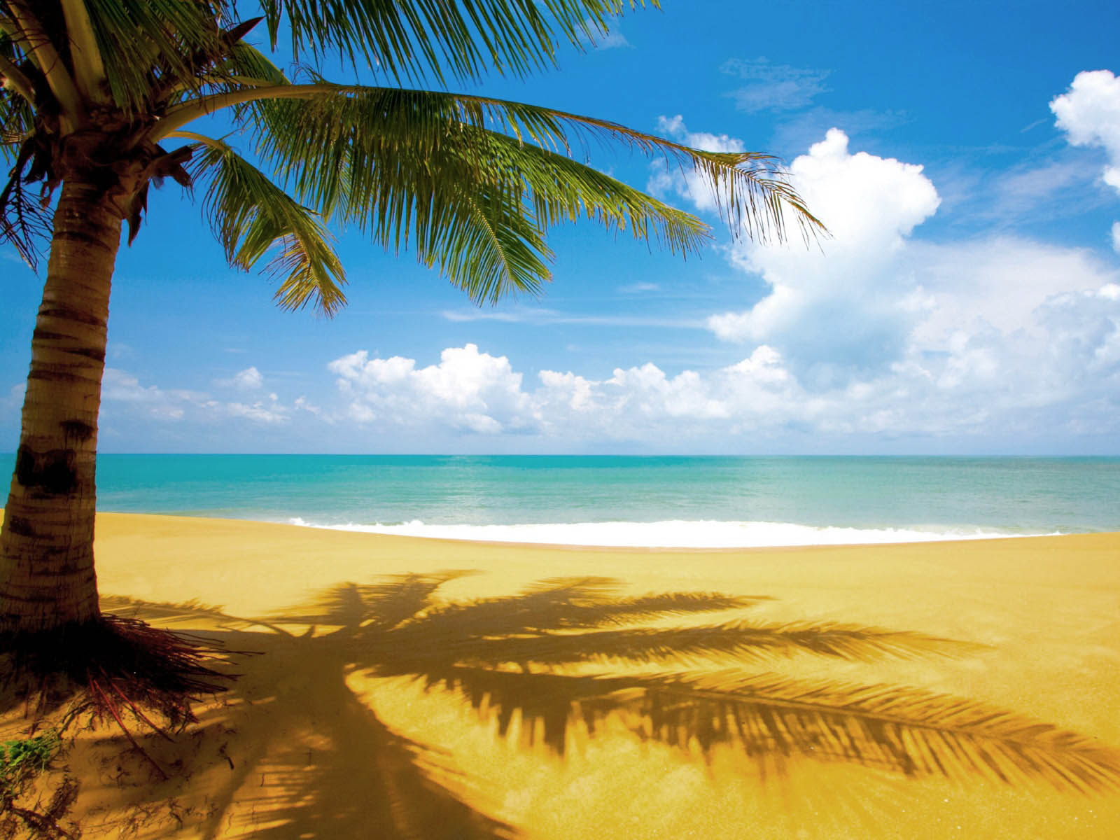 Dam Background Photo Pantai Indah