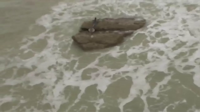 sirena sobre una roca en la playa