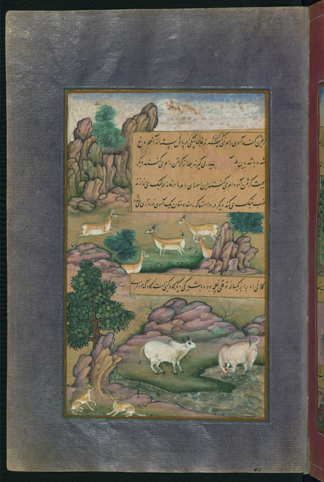 http://3.bp.blogspot.com/-sXzQ2y2U8HE/UDZfwt7ThvI/AAAAAAAADVY/2flQU41HF3c/s1600/Animals+of+Hindustan+small+deer+and+cows+called+g%C4%ABn%C4%AB,+from+Illuminated+manuscript+Baburnama+(Memoirs+of+Babur).jpg