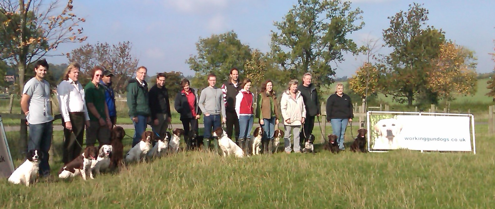 Working Gundogs Grade 1 Group Gun Dog Training Hartwell Northamptonshire