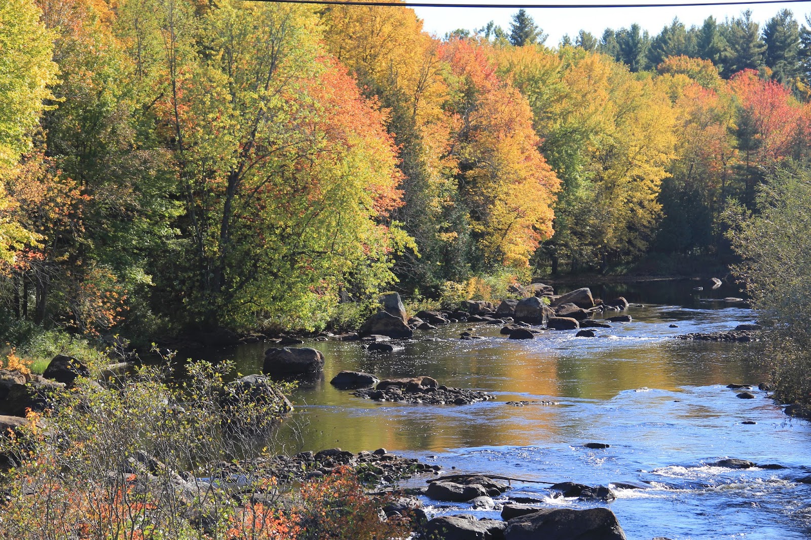 bonesoflife Harrisville, NY. Oswagatchi River Beauty