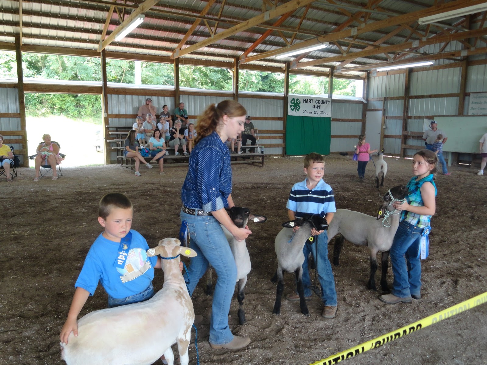 BarnScoop Photos from Hart County Fair 4H Market Lamb, Market Hog