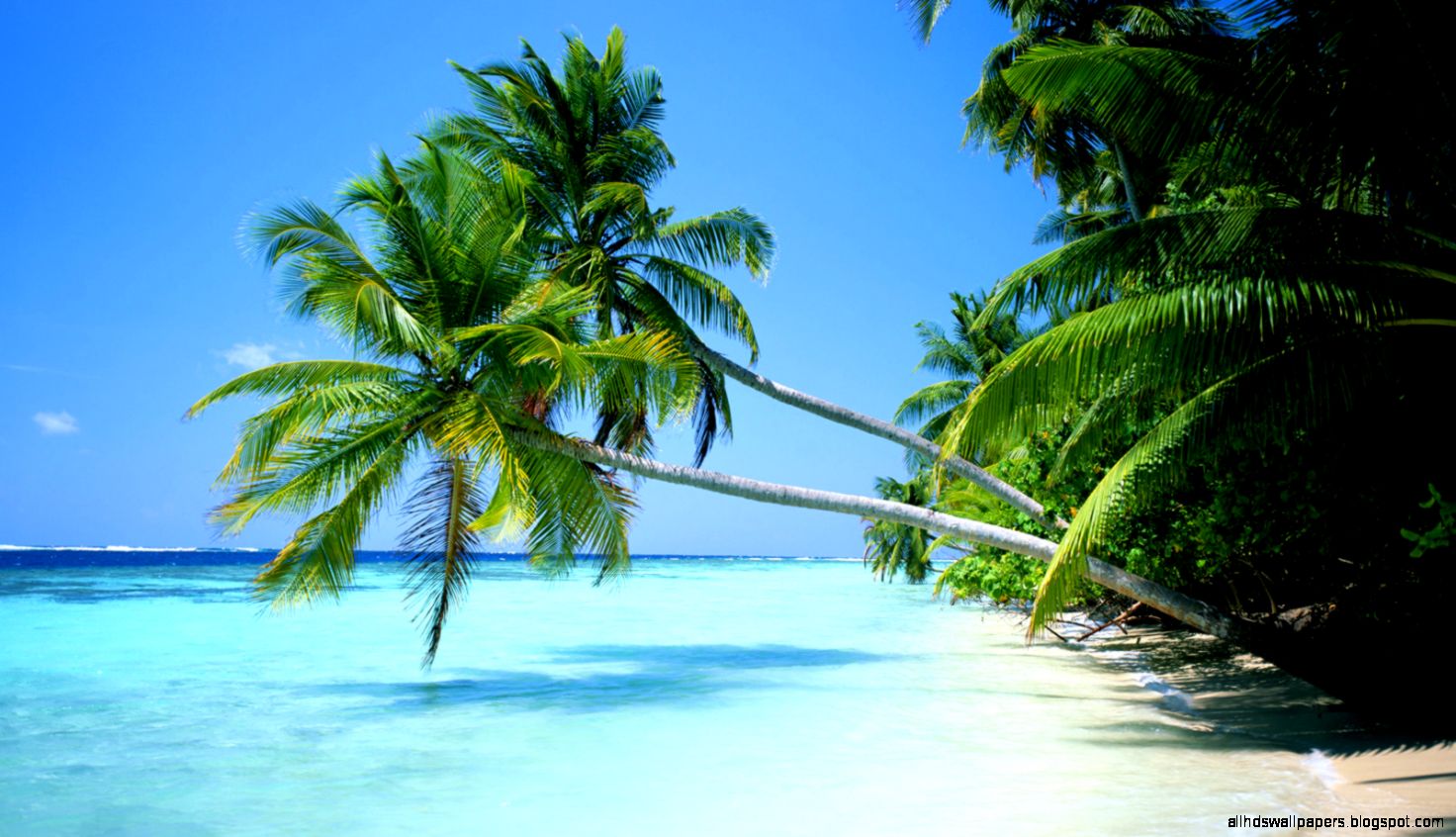 Images Desktop Pictures Tropical Images Desktop Pictures Tropical