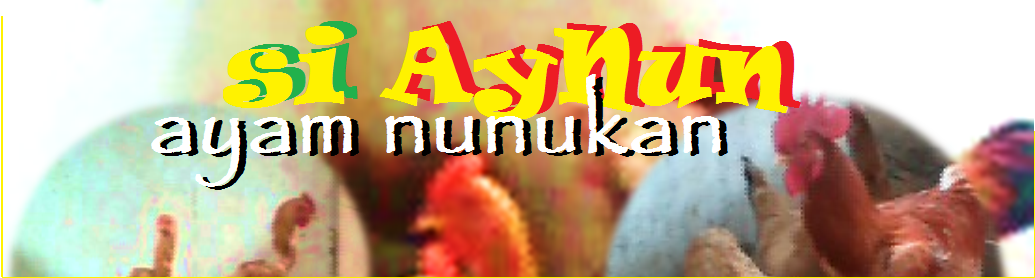 Ayam Nunukan