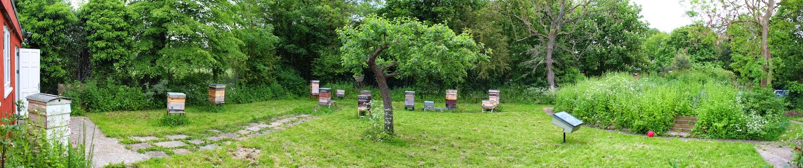 Epsom apiary