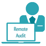 In Tally ERP 9 you can remotely get your books audited