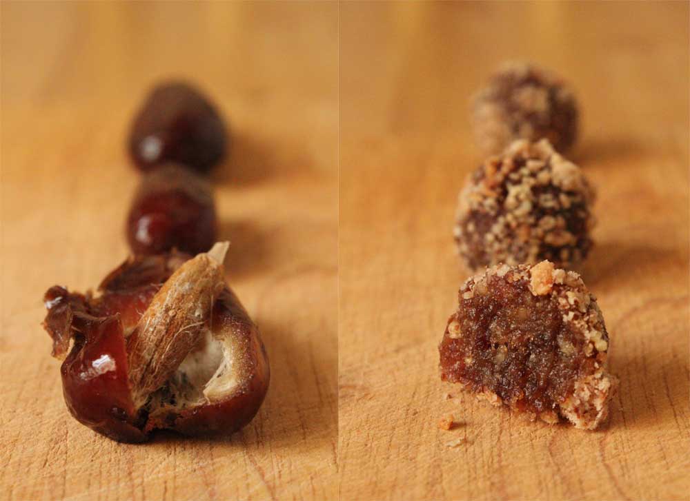  fleur du poirier datenut candy.