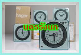 TIMER SWITCH HAGER
