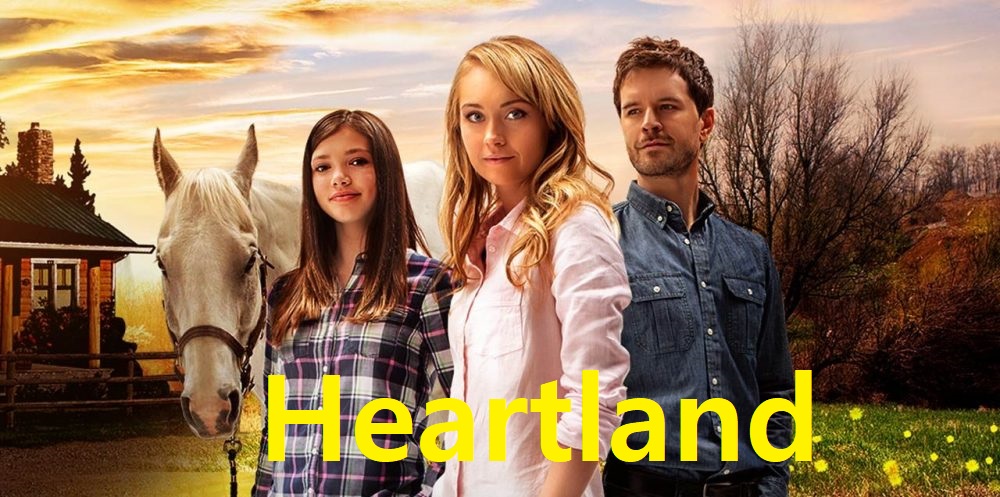 BT Kitty - Professional torrent search engine, Fast and